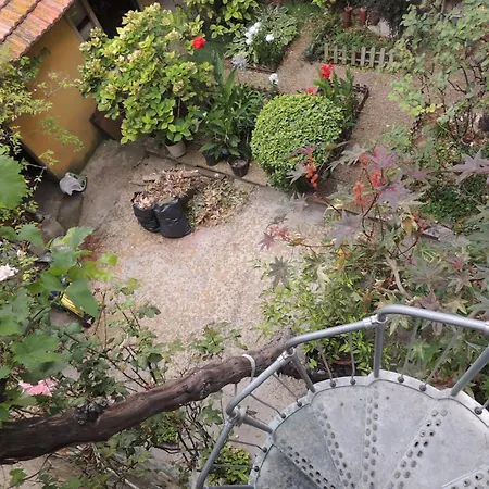 בית הארחה Gambetta